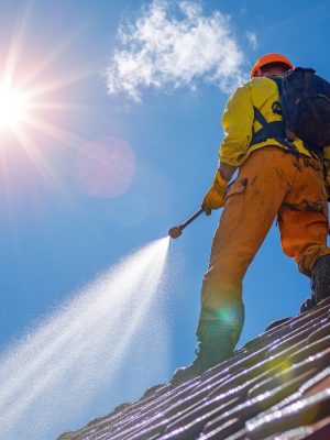 Sunshine Coast Roof Cleaning