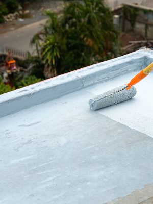 waterproof-reinforcing-paint